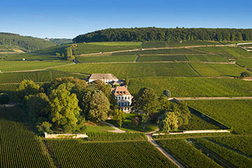 Louis Latour, Bourgogne